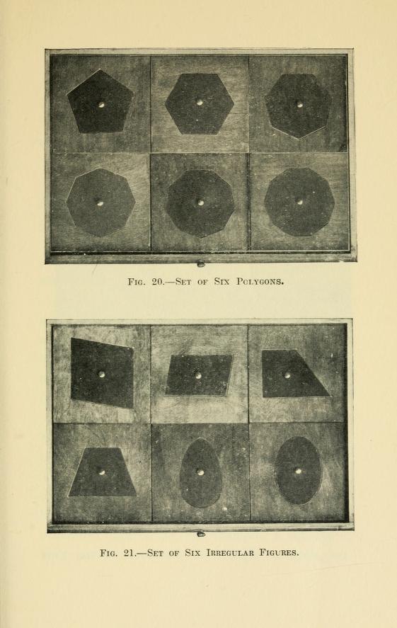 Plate on leaf 81