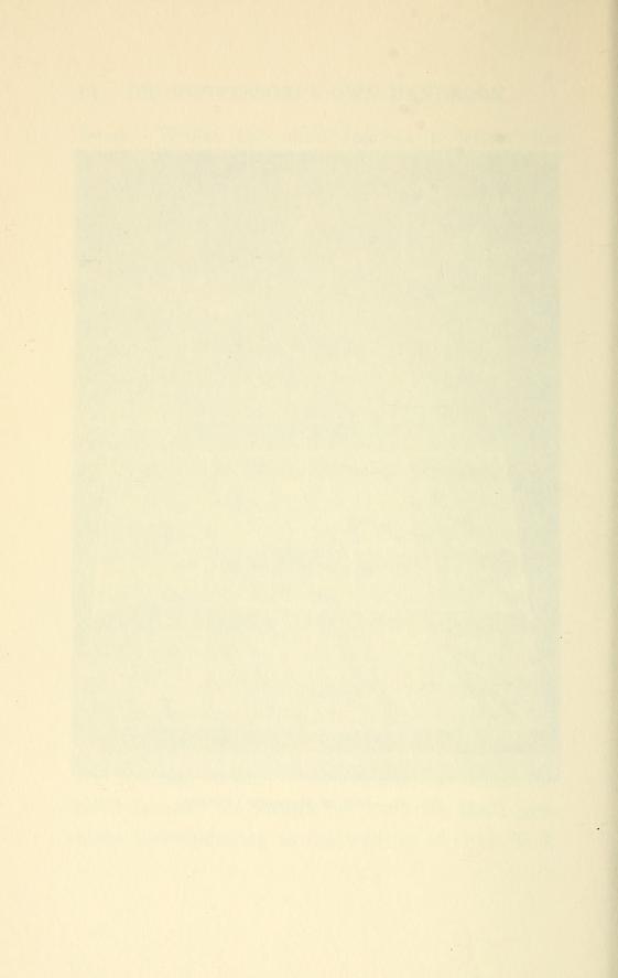 Plate on leaf 140